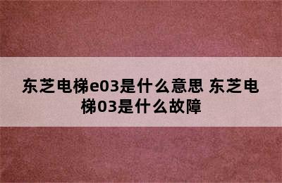 东芝电梯e03是什么意思 东芝电梯03是什么故障